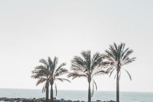 Almeria - Professional handyman and home services