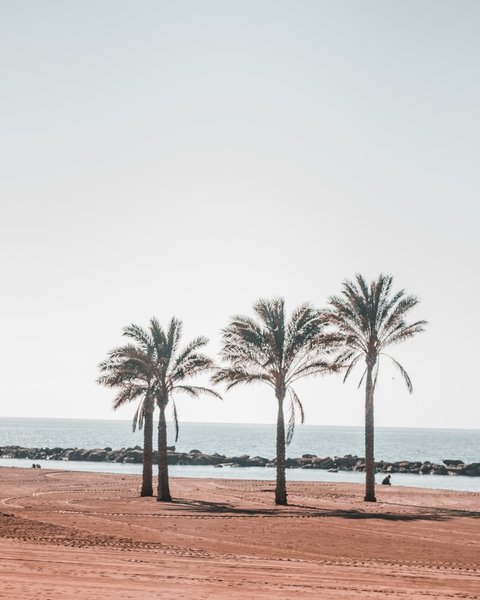 Find Smart Lighting Installation in Almeria: My Complete Guide