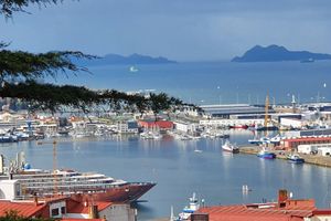 Vigo - Professional handyman and home services