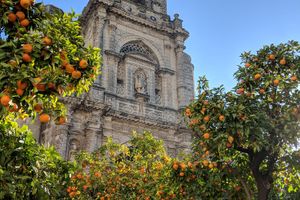 Jerez de la Frontera - Professional handyman and home services