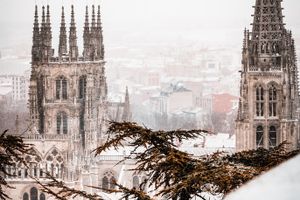 Burgos - Professional handyman and home services