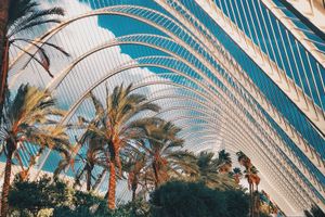 Valencia - Professional handyman and home services