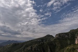 Gandia – Oliva - Professional services and taskers