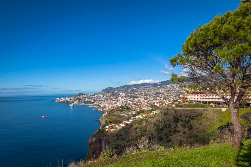 Funchal - Professional services and taskers