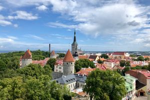 Tallinn - Professional handyman and home services