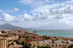 Naples - Professional handyman and home services