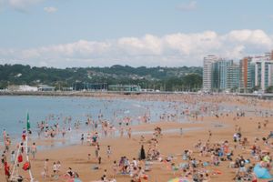 Gijón - Professional handyman and home services