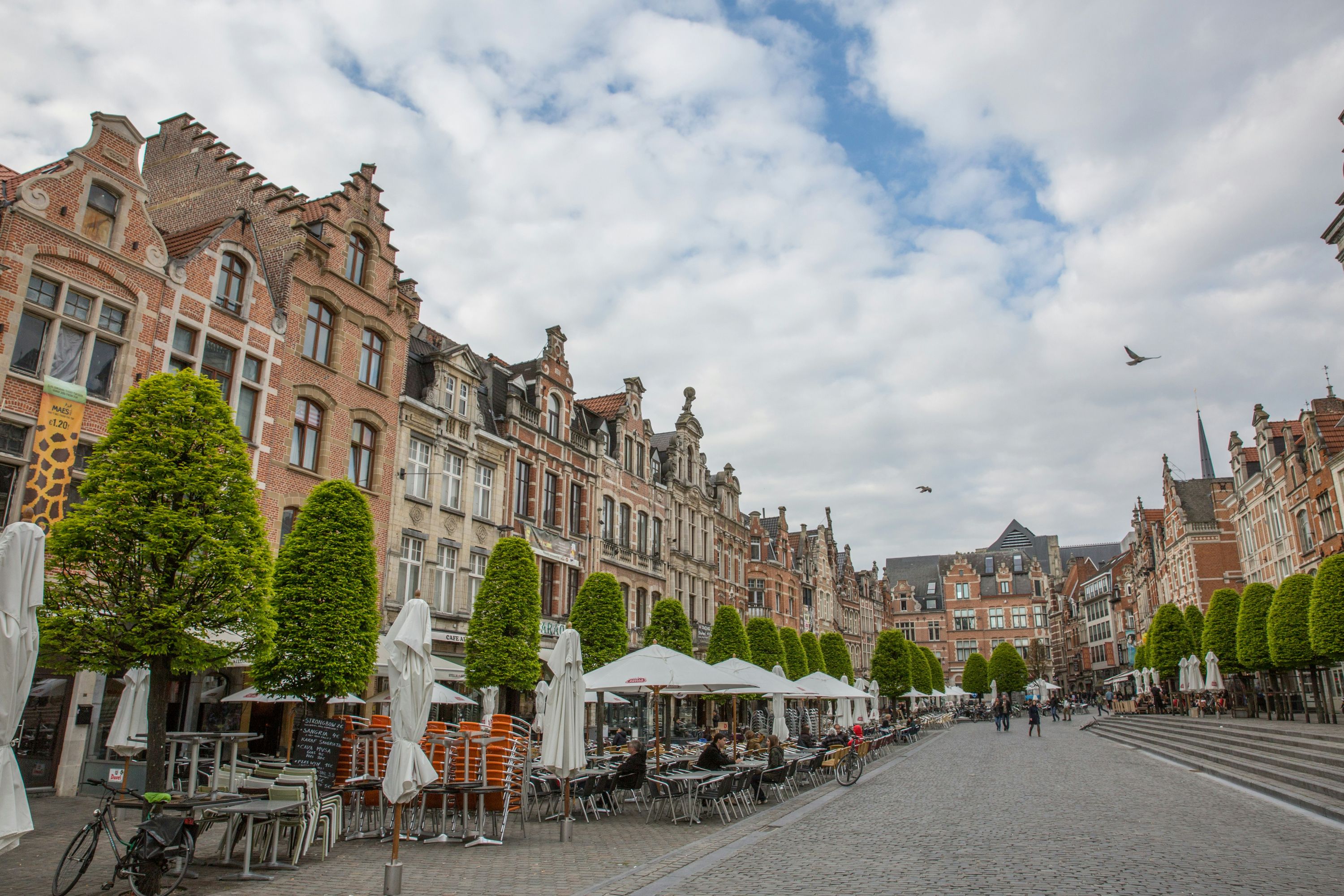 Leuven - Professional handyman and home services