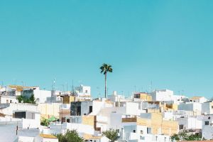 Spain - Professional services and taskers