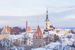 Estonia - Professional services and taskers