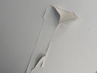 Request image 1